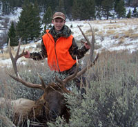 Large 7X6 bull elk