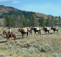 Pack string on the move