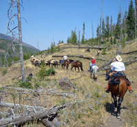 Packstring moving down the trail