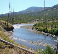 Lamar River in YNP
